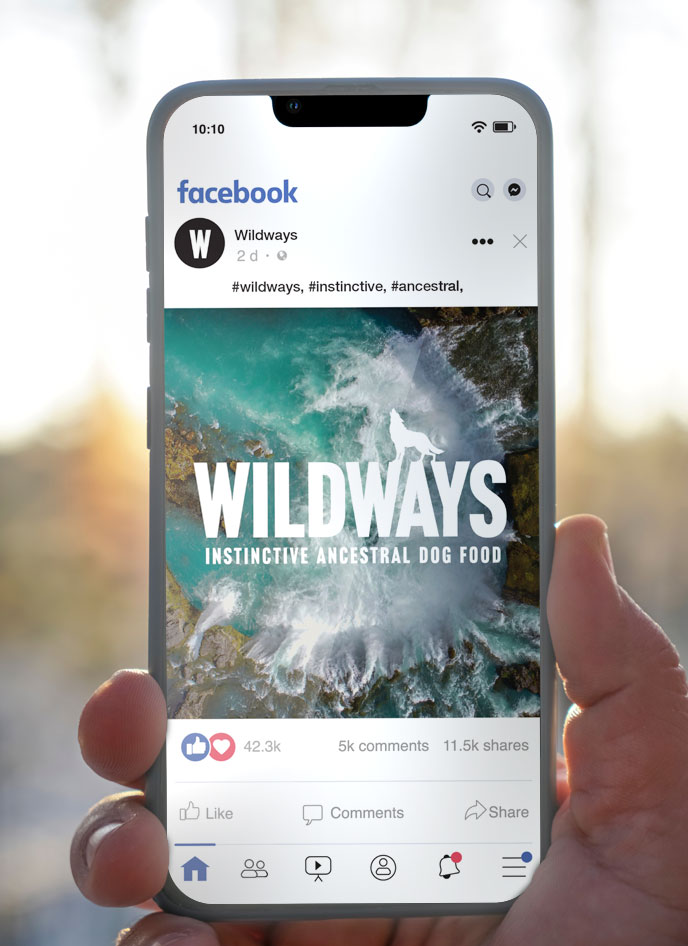 Wildways Facebook social media post on iPhone