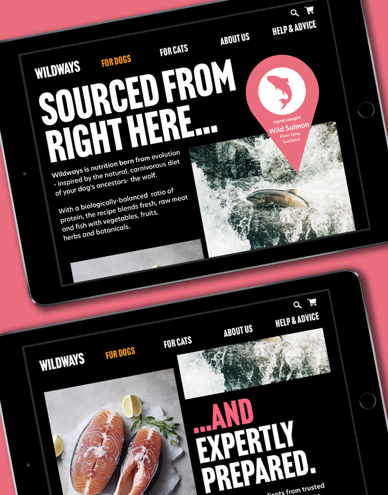 Wildways website branding on iPad