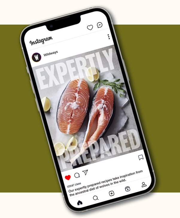 Wildways social media Instagram post on iPhone