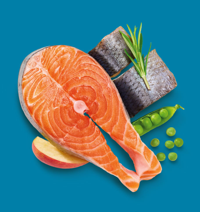 Wildways ingredients image: Fresh Salmon with Herring